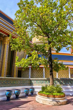 WAT Ratchabophit buddist Tapınağı Bangkok, Tayland