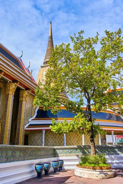 WAT Ratchabophit buddist Tapınağı Bangkok, Tayland