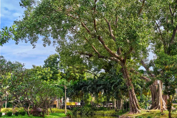 Suan Saranrom Park em Bancoc, Tailândia — Fotografia de Stock