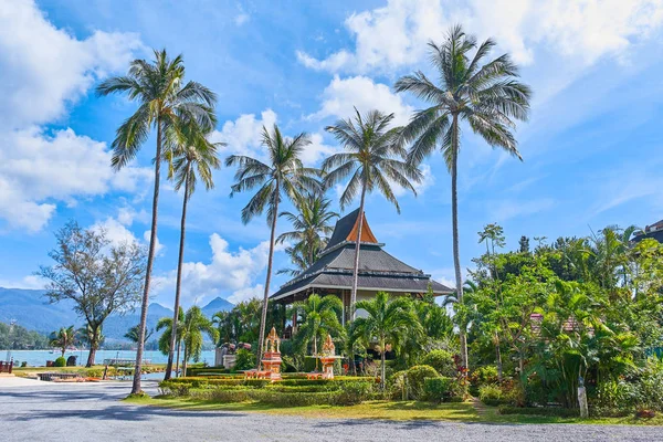 Sahile yakın güzel tropikal palmiye doğal görünümü — Stok fotoğraf
