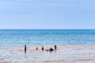 : Trat, Thailand - 12 Ocak 2018: Yalnız Beach fil Yüzme