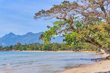 Koh Chang Adası, Tayland Lonely plaj manzarası (Hat Ta Nam)