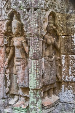 Taş Ta Prohm Tapınağı, Angk gösterilen Khmer devata koruyucu