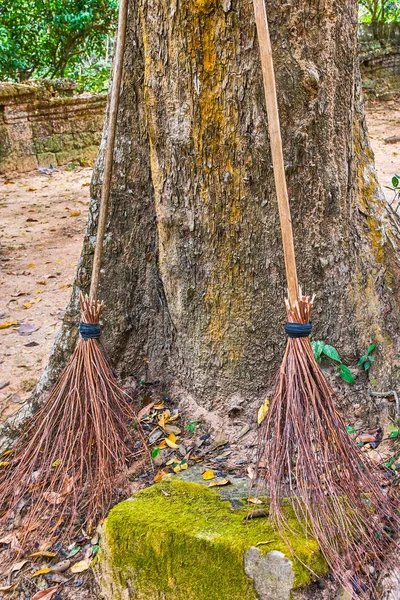 나뭇가지로 만든 빗자루 — 스톡 사진