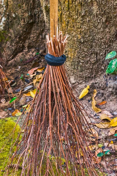 나뭇가지로 만든 빗자루 — 스톡 사진