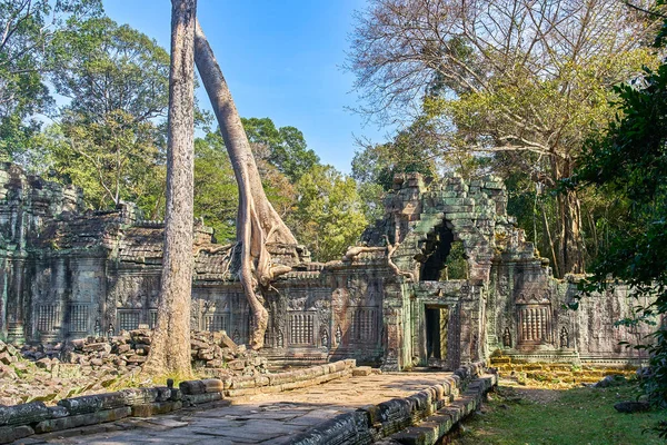 Temple Preh Khan avec des racines d'arbre de coton de soie à Siem Reap — Photo