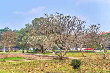 Royal bağımsızlık bahçelerde Siem Reap, Kamboçya