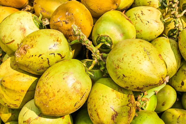 Manojo de cocos frescos —  Fotos de Stock
