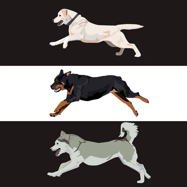  köpek vektör çizim.