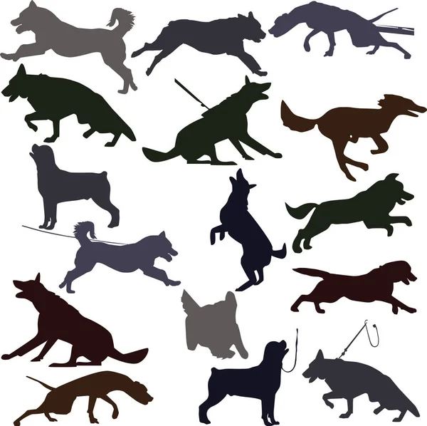 Dog silhouettes illustration. — Stock Vector