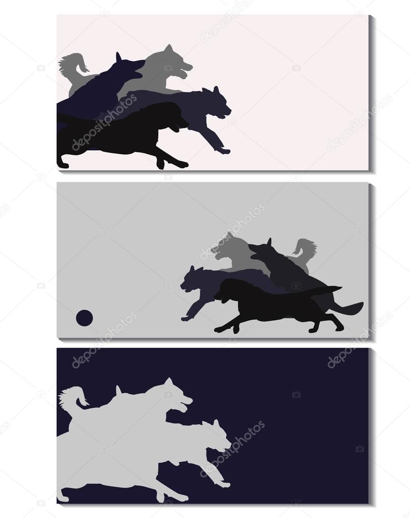 Dog sport brochures. Set of cards with dogs.