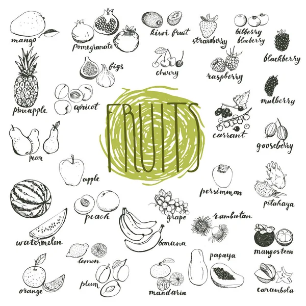 Fruits croquis dessinés à la main isolés sur fond blanc . — Image vectorielle