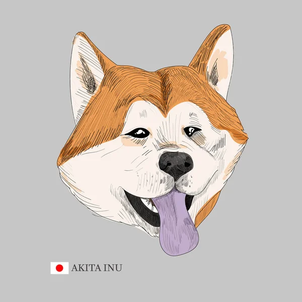 Akita Inu hund porträtt och japanska flaggan. — Stock vektor