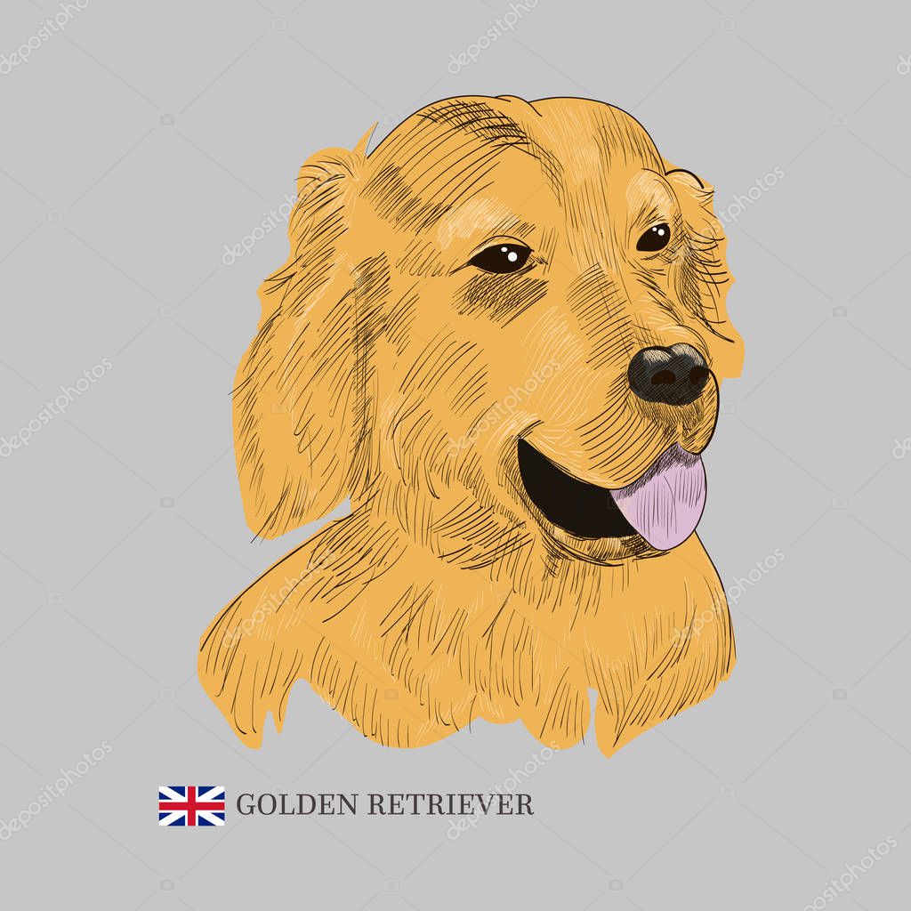 Hand drawn dog sketch and flag of Great Britain.