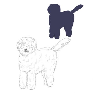 Macar köpek siluet ve kroki.