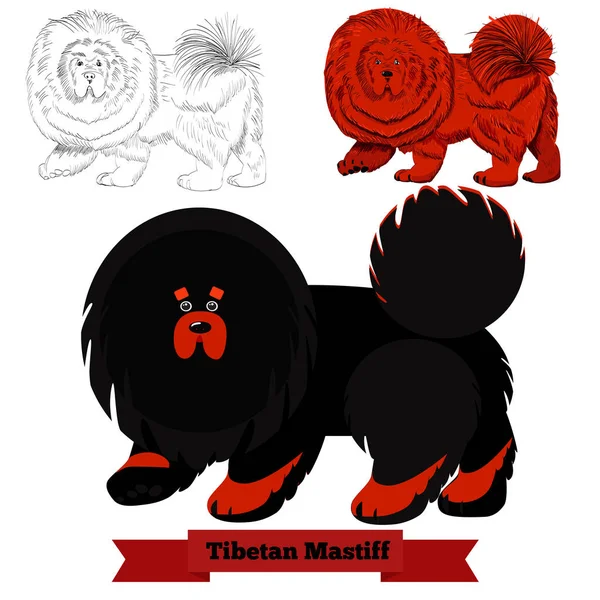 Mastiff tibetano perro vector ilustración . — Vector de stock