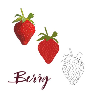 Çilek ve vektör çizim yazı. 