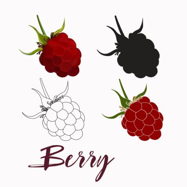 Ahududu kümesi ve yazı.