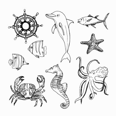 Deniz konu el çizilmiş öğeleri.