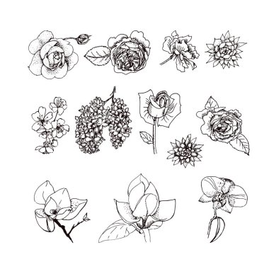 Küme çiçek çizimler vektör.