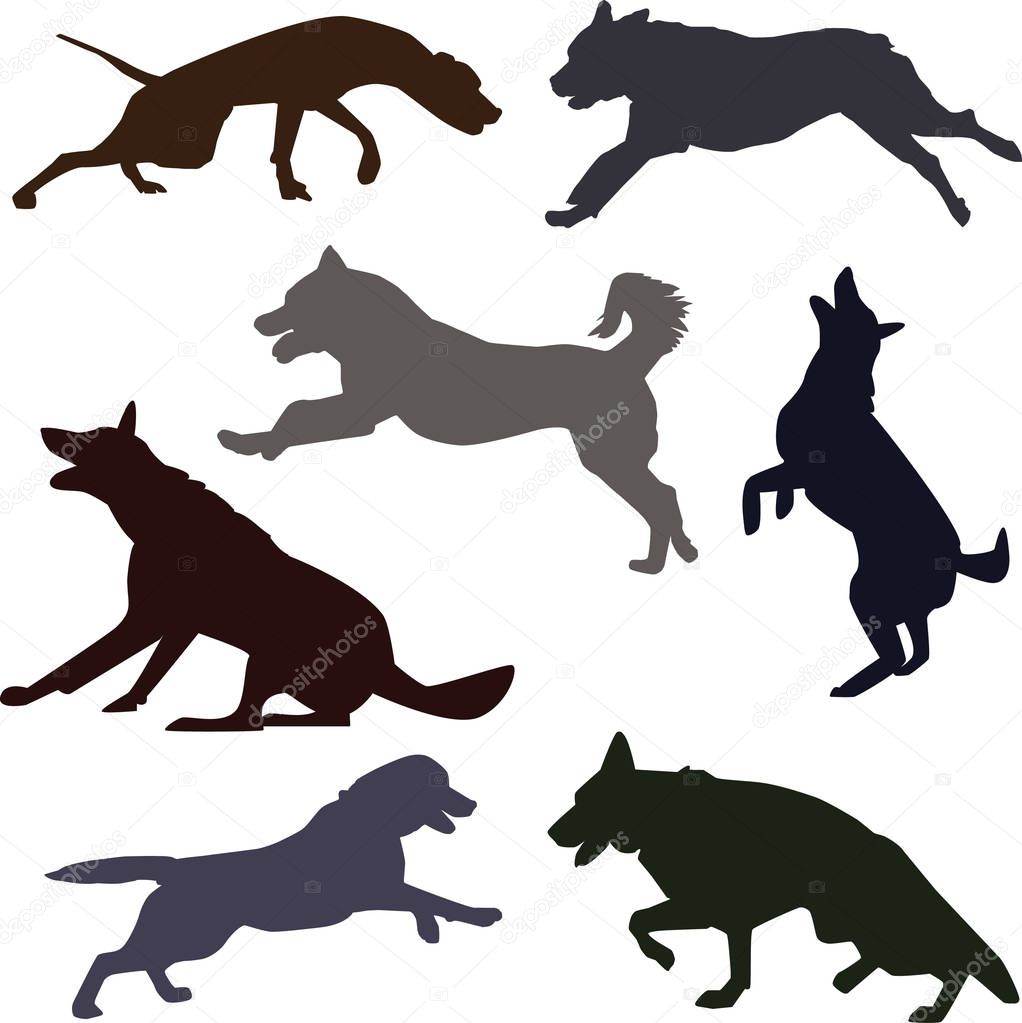 Set of dog silhouettes doing different activities. Dog jumping, running, barking.