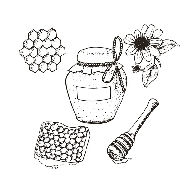 Miel en tarro y panales bocetos . — Vector de stock