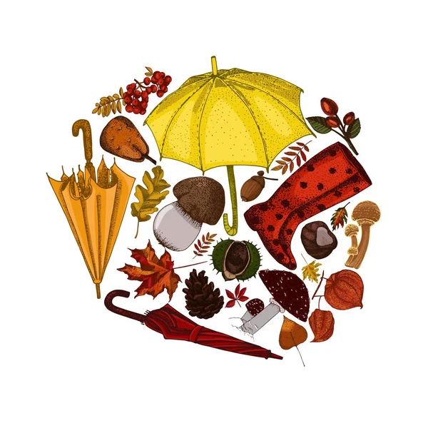 Daire içinde toplanan sonbahar aksesuarları.