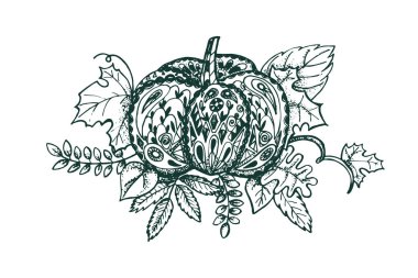 Stilize kabak ve beyaz arka plan üzerinde izole yaprakları.