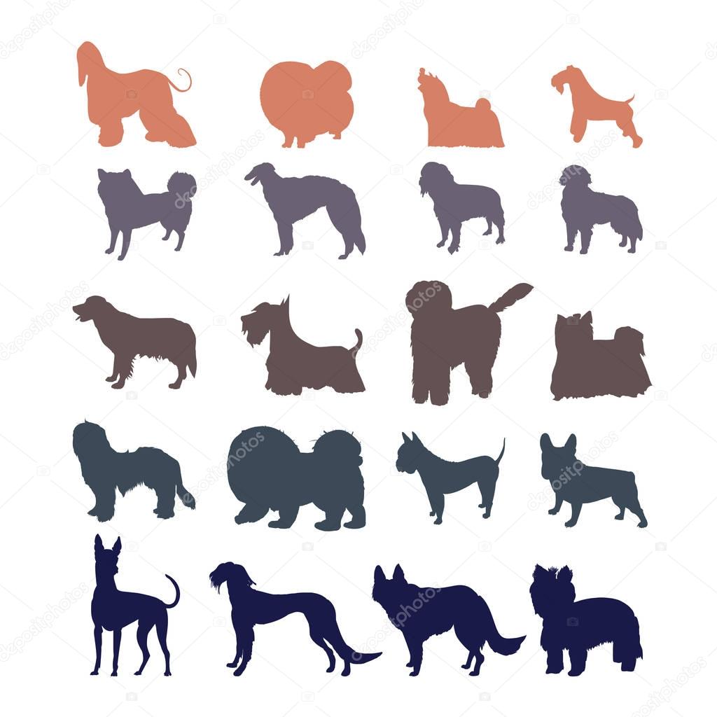 Different dog breed silhouettes collection.