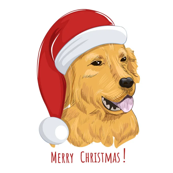 Zlatý retrívr pes nosí vánoční čepice. — Stockový vektor