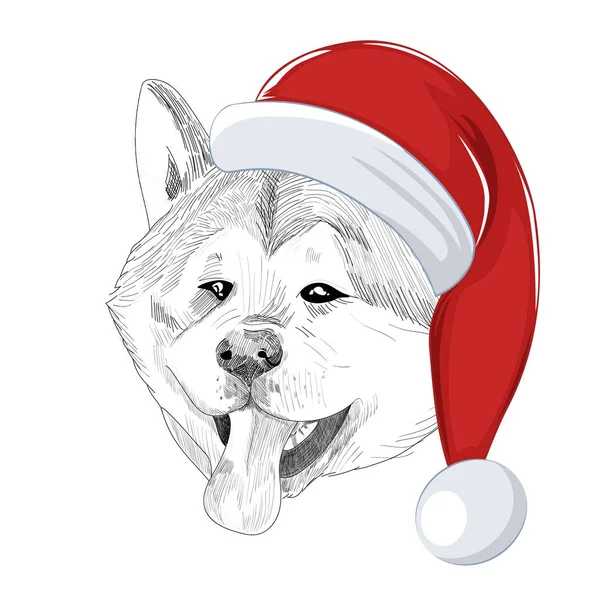 Akita Inu pes nosí vánoční čepice. — Stockový vektor
