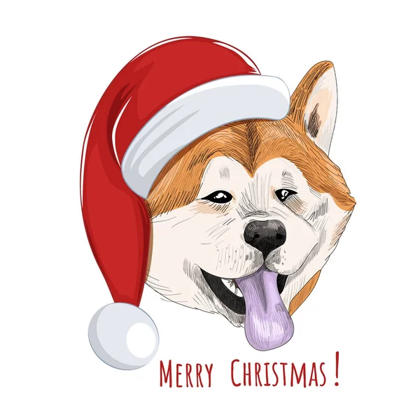 Akita Inu pes nosí vánoční čepice. — Stockový vektor