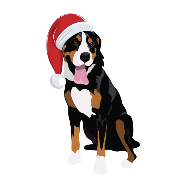 Swiss Mountain dog with Christmas hat isolated on white background. — Stock Vector