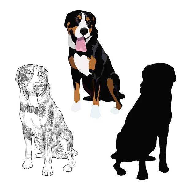 Perro de montaña suizo en tres estilos diferentes . — Vector de stock