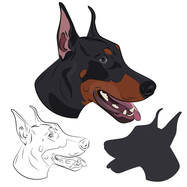 Doberman Pinscher cara aislada sobre fondo blanco. Silueta de cabeza de perro . — Vector de stock