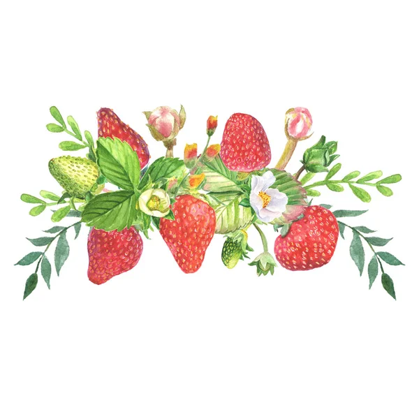 Botanische Komposition mit Erdbeeren, Blüten und Blättern auf weißem Hintergrund. — Stockfoto