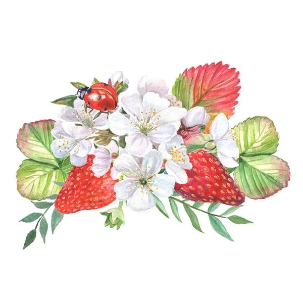 Composição botânica com morangos, flores e folhas isoladas sobre fundo branco . — Fotografia de Stock