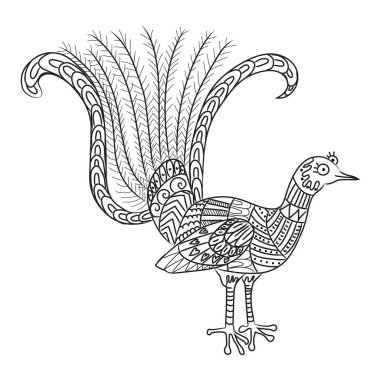 Beyaz arka plan üzerinde izole stilize lyrebird.