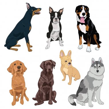 Beyaz arka plan üzerinde izole oturma köpekler koleksiyonu.