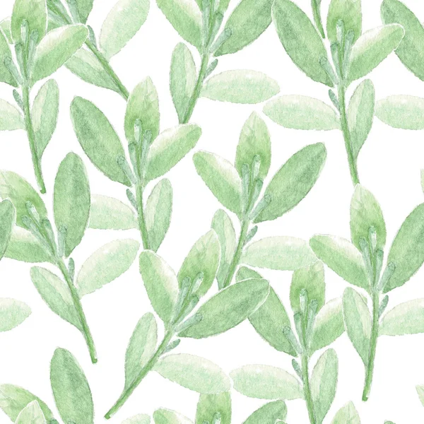 Gröna grenar akvarell sömlösa mönster. — Stockfoto