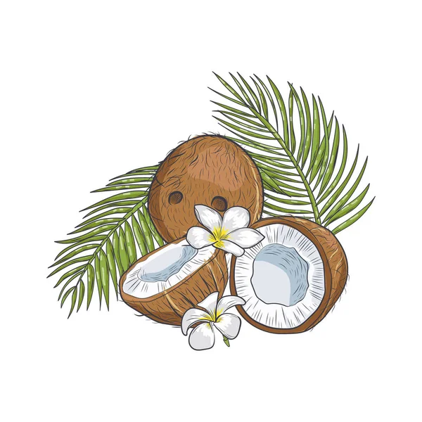 Coco Marrón Con Flores Tropicales Hojas Primer Plano Antiguo Coco — Archivo Imágenes Vectoriales