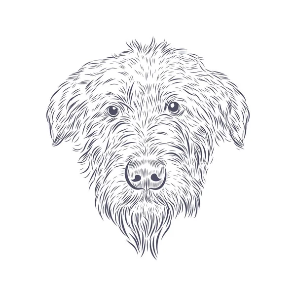 Cabeza Perro Lobo Irlandés Aislada Sobre Fondo Blanco Dibujo Vectorial — Vector de stock