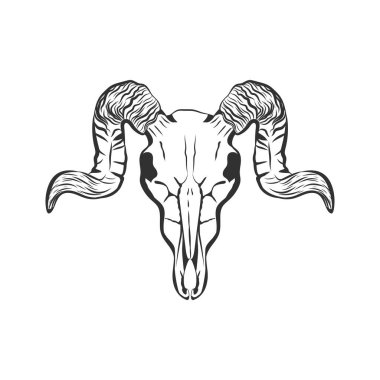 Koç elli vektör çizimi. Beyaz arka planda izole edilmiş boynuzlu hayvan kafatası. Kafatası dövme tasarımı.