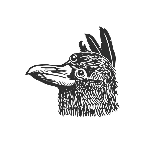 Cabeza Cuervo Tres Ojos Decorada Con Plumas Ilustración Vectorial Mística — Vector de stock