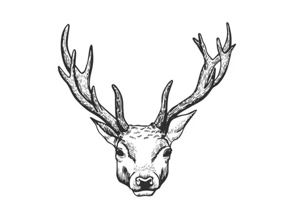 Deer Head Vector Sketch Your Design Hand Drawn Stag Face — Stock Vector
