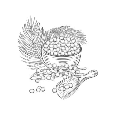 Dal ve kase vektör illüstrasyonunda Acai üzümü. Süper yiyecek meyveleri ve bitki yaprakları beyaz arka planda.