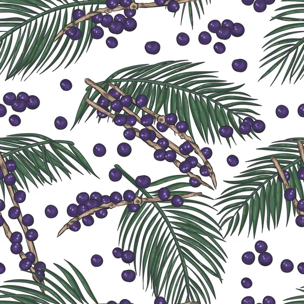 Acai üzümleri beyaz arka planda, pürüzsüz desen. Acai bitki elementleri ve böğürtlenler pürüzsüz arka plan.
