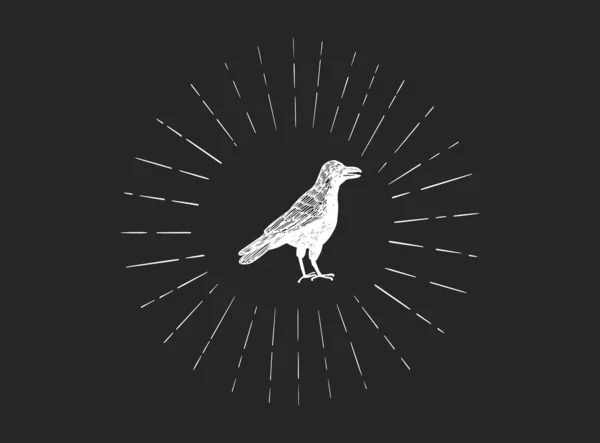 Esboço Vetorial Corvo Escuro Isolado Fundo Escuro Ilustração Vetor Pássaro — Vetor de Stock