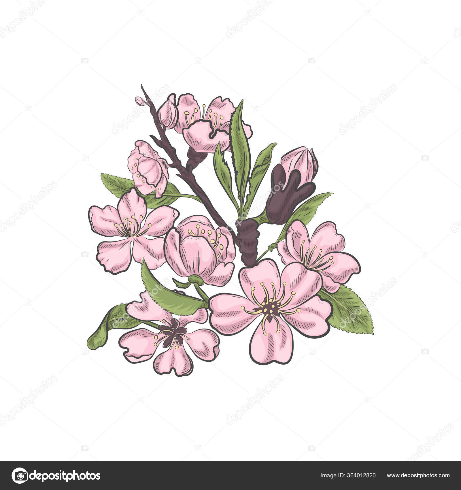 Magnolia Tree Drawing Images – Browse 42,319 Stock Photos, Vectors, and  Video | Adobe Stock