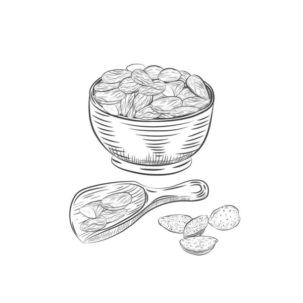 Amandes Dans Bol Scoop Croquis Vectoriel Noyaux Amandes Noix Isolés — Image vectorielle